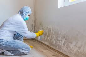 Mold Odor Removal Services in Gibsonton, FL