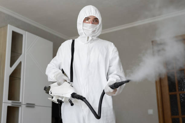 Environmental Consulting for Mold Prevention in Gibsonton, FL