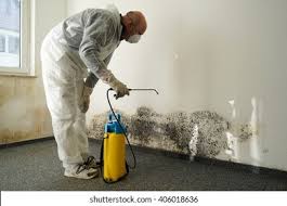 Best Environmental Consulting for Mold Prevention  in Gibsonton, FL